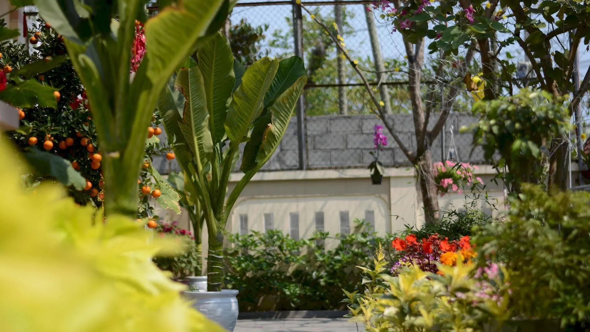 Han Thuyen Homestay Hoi An